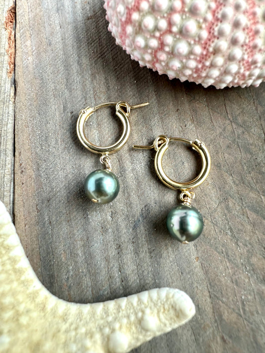 Manini Tahitian Pearl Hoops