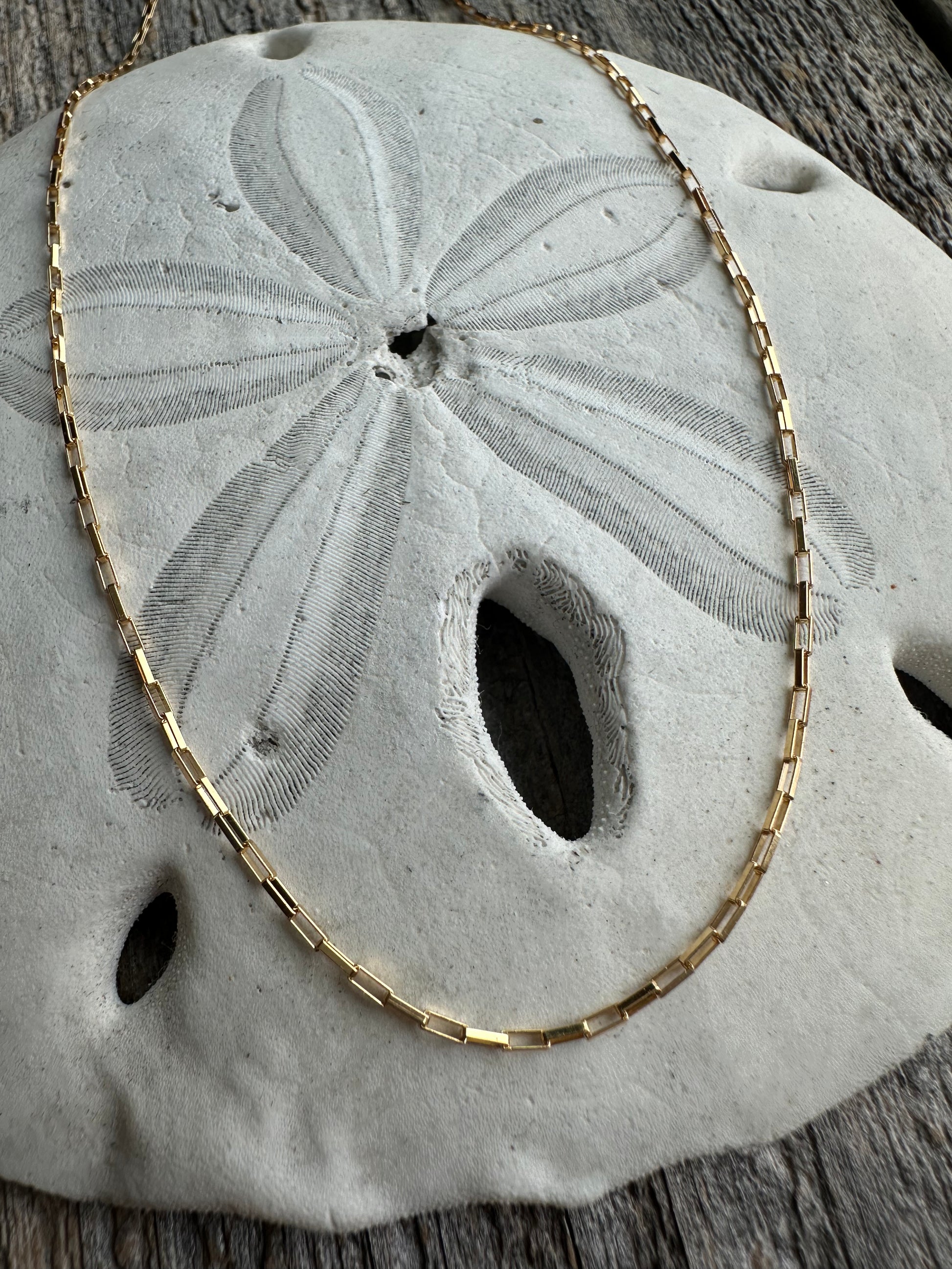 On wooden background with white sand dollar in the middle of the image, there is a gold chain that sits on top of it.