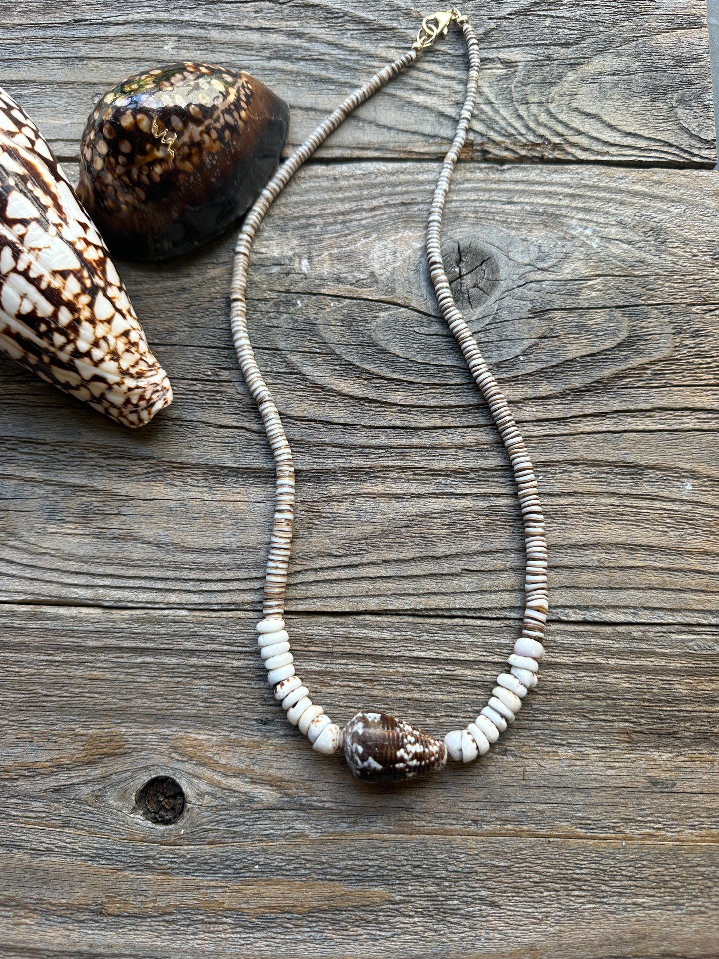 Sandbar Hawaiian Cone Shell 21" Necklace