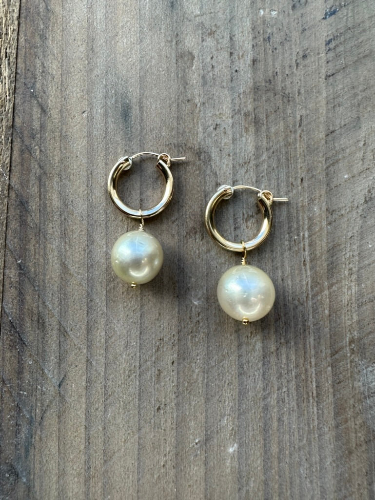 large whitish pearls with a sublte golden tone on little huggie hoops on a wooden background