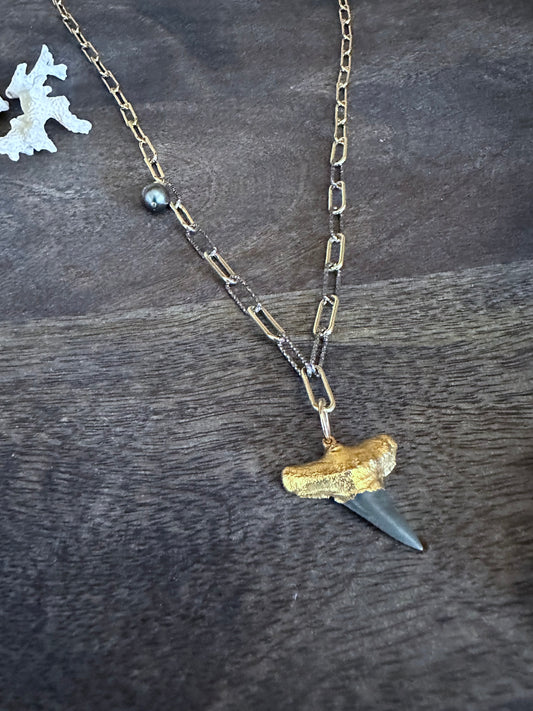 gold plated fossilized sharks tooth pendant on a mixed silver and gold chain with a tahitan pearl on one side of the neckalce where the section of mixed metals connects with the paperclip chain on a grey wooden background. a piece of whie coral sits in the upper left corner.