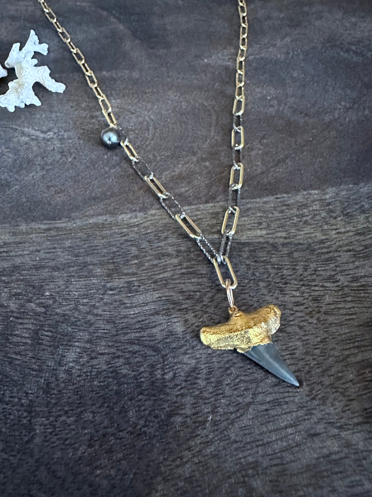 Alchemy of the Deep: Fossilized Shark's Tooth and Tahitian Pearl Italian Chain Necklace