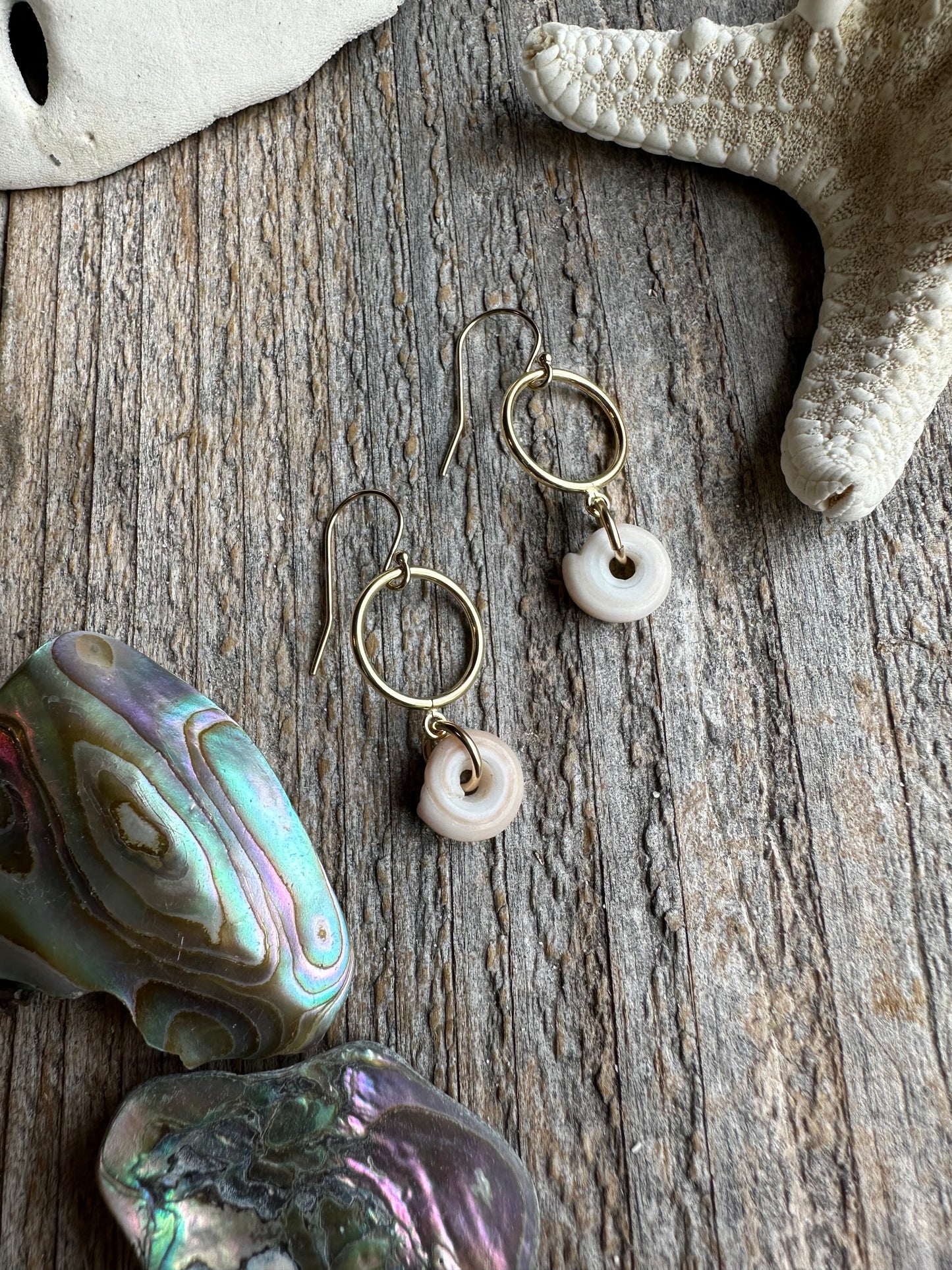 Shoreline Loop Puka Shell Earrings