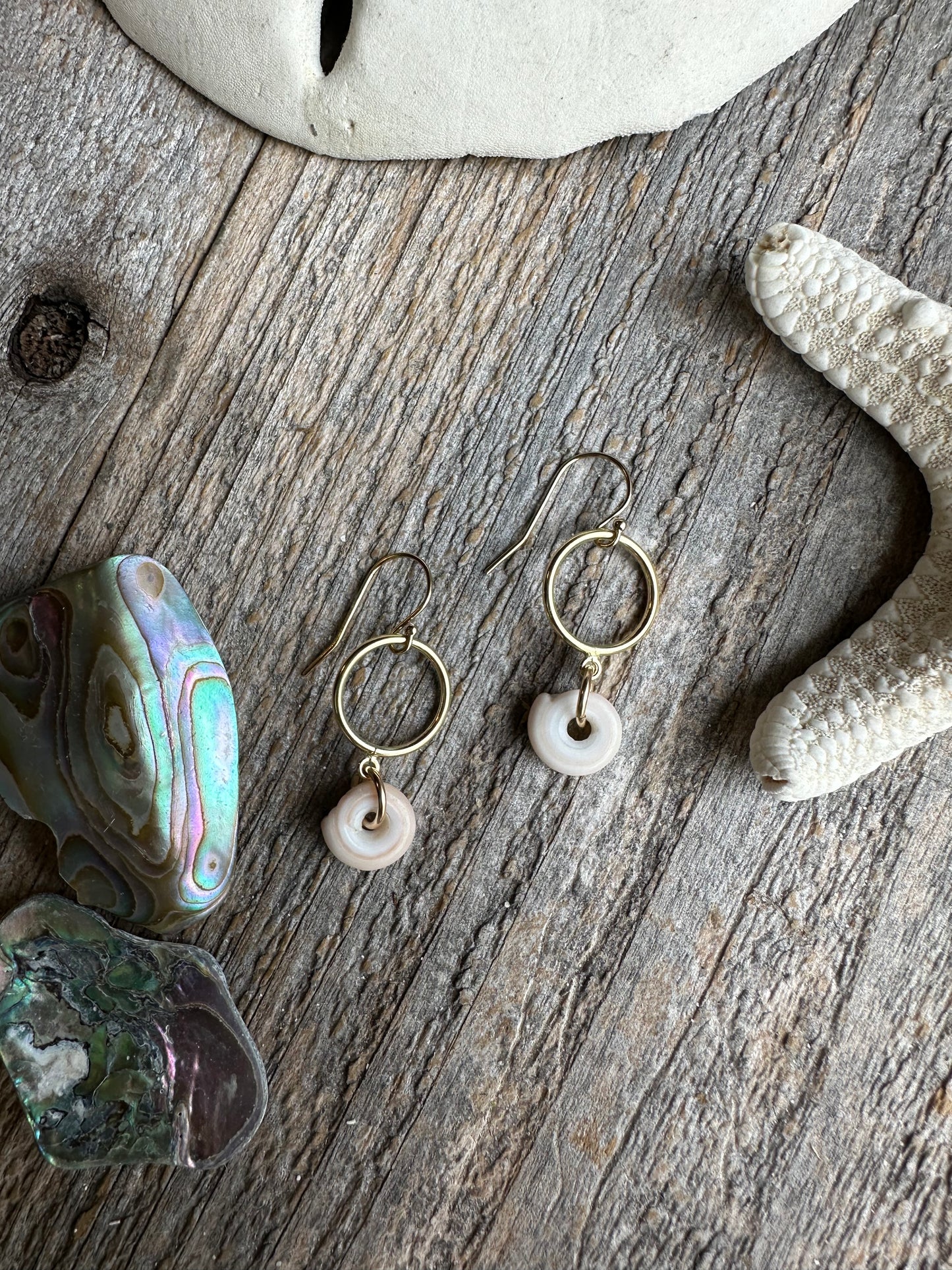 Shoreline Loop Puka Shell Earrings
