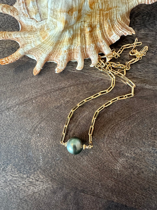 a large seashell sits on a wooden background with a gold necklace with links and a black pearl in the center.
