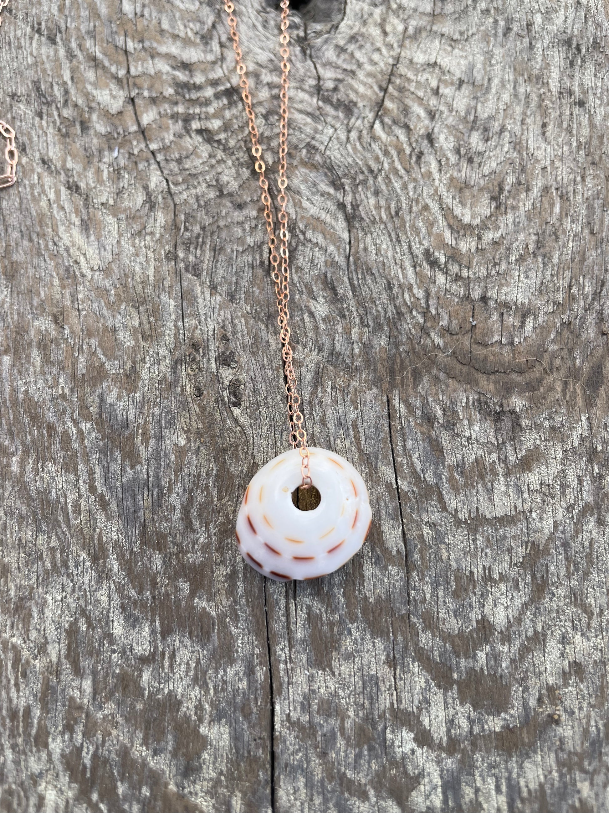 puka shell on a goldfilled chain on a wooden background