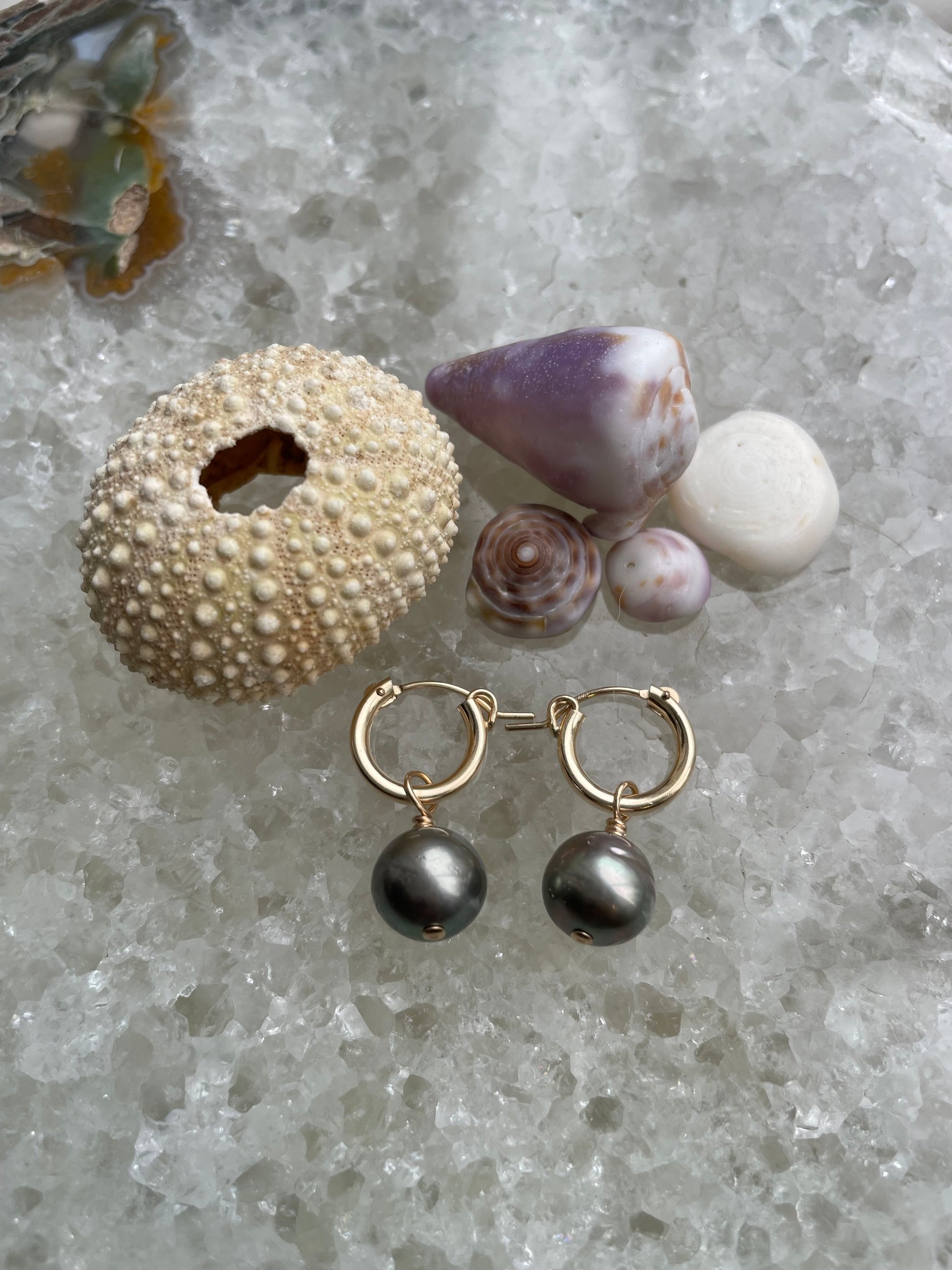 a pair of huggie golden hoops with a single balck pearl sit on quartz with some shells in the backdrop